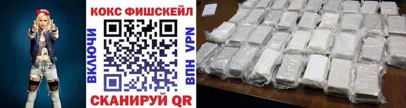 дарнет шоп  Чкаловск  КОКАИН Fish Scale 