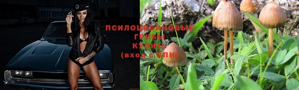 хмурый Арсеньев