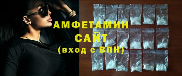 сатива Аркадак
