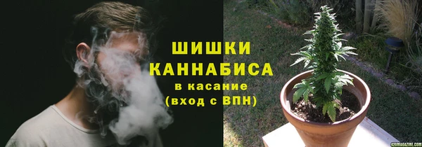 сатива Аркадак