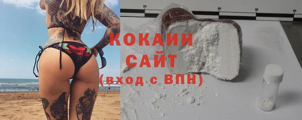 сатива Аркадак