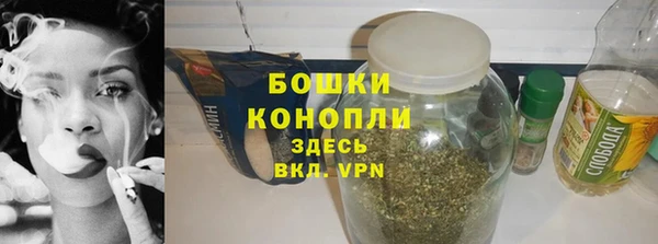 хмурый Арсеньев
