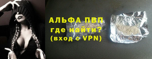сатива Аркадак