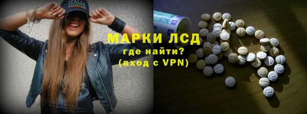 сатива Аркадак