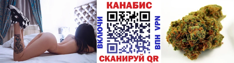 Конопля тримм  где купить наркотик  Чкаловск 